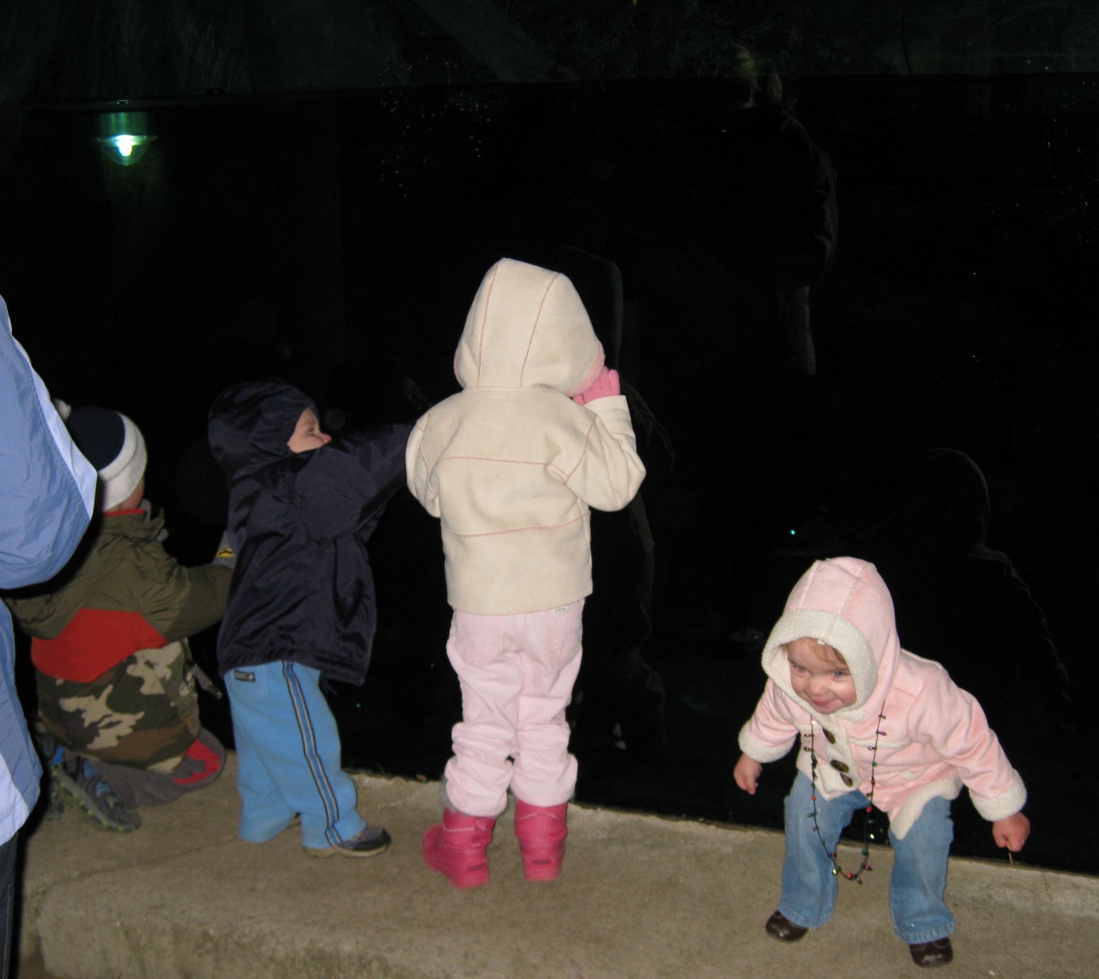 [IMG_5284.JPG]