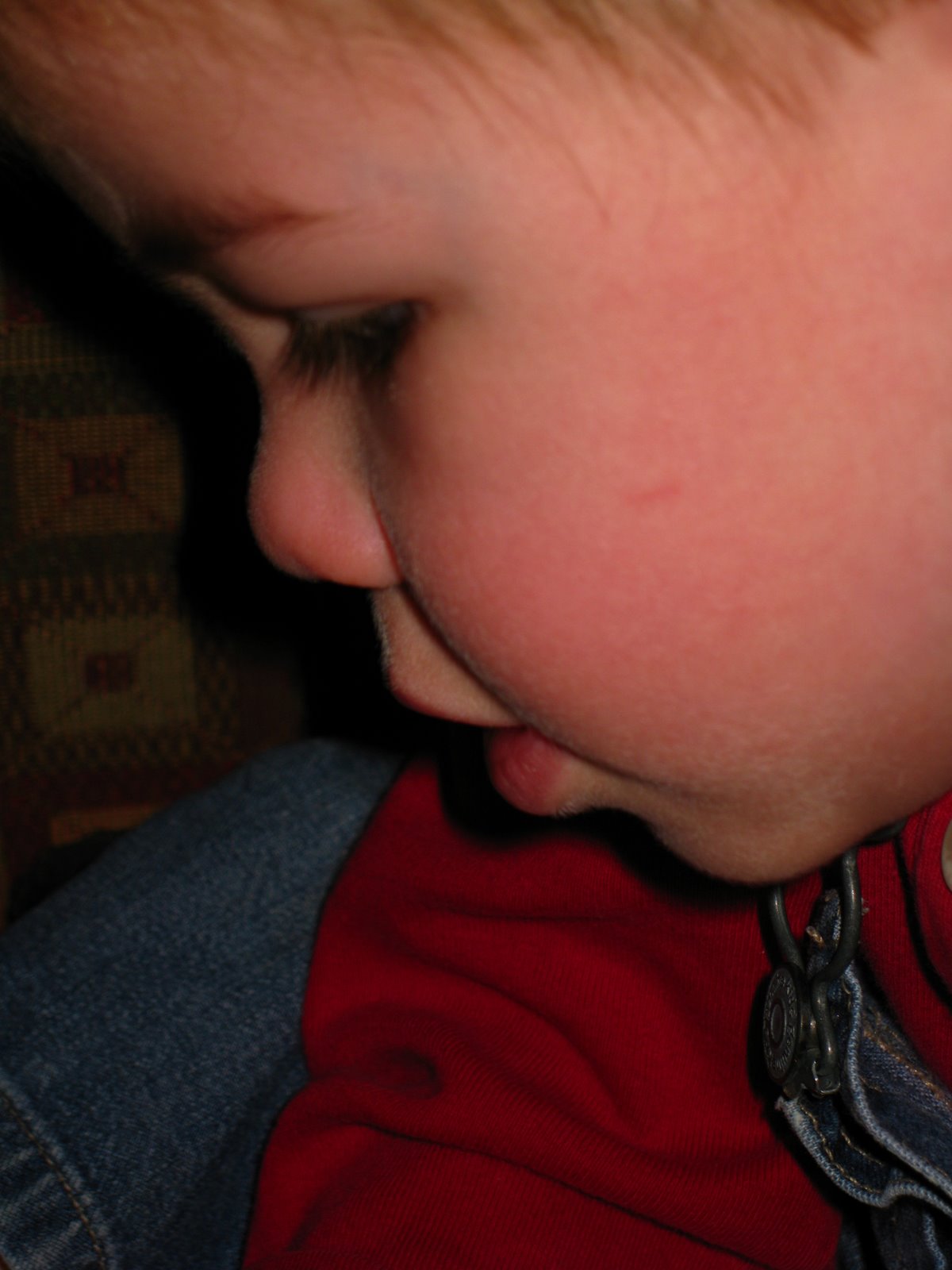 [IMG_7398.JPG]