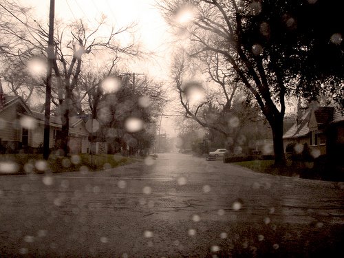 [RainyWindshield.jpg]