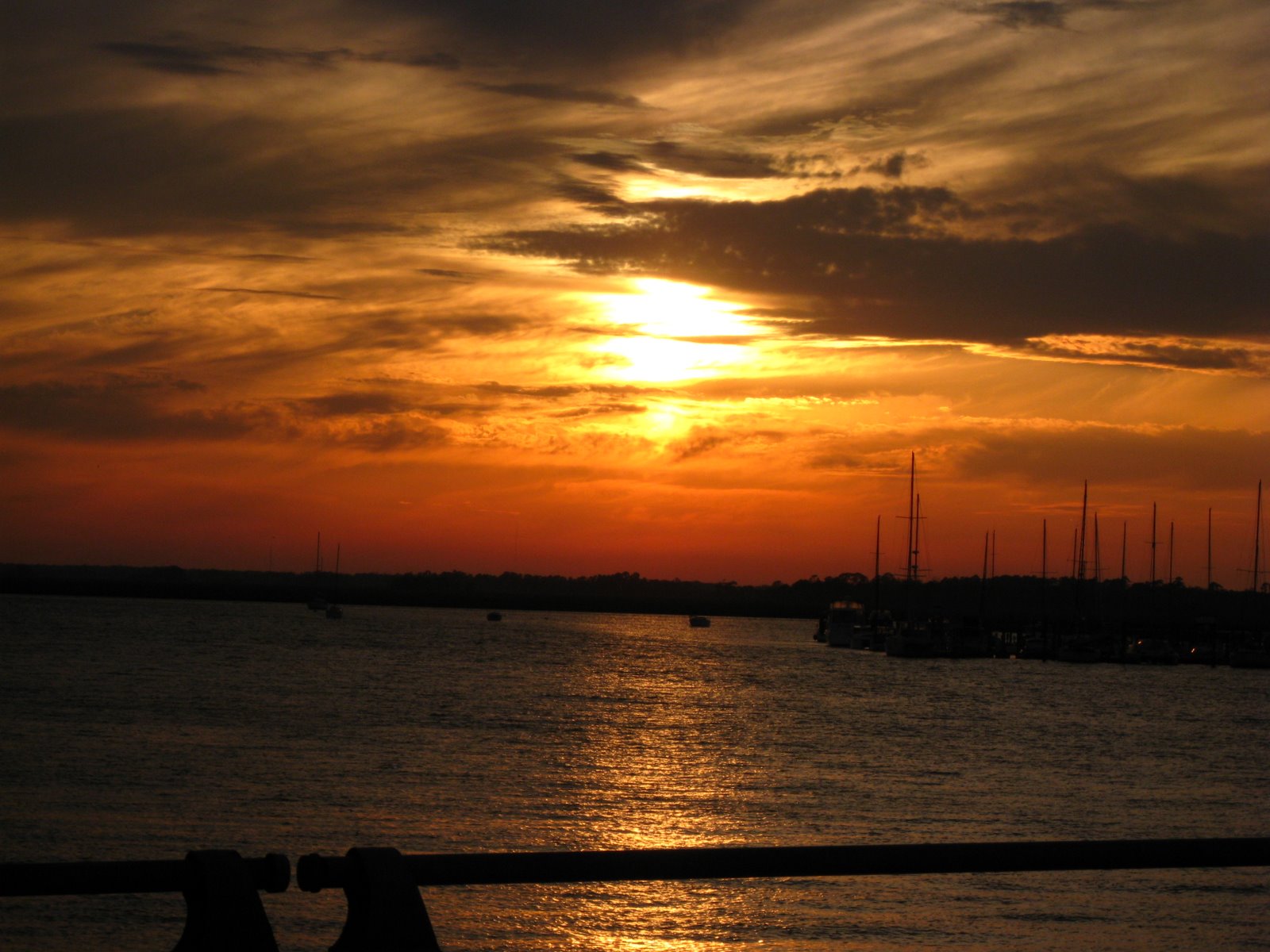 [IMG_8879.JPG]