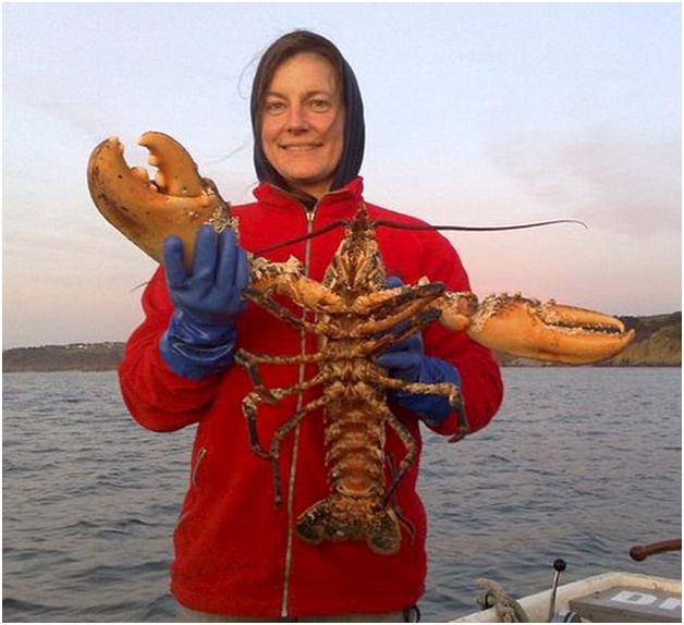 The Book of Records Largest lobster believed to ever caught in 80 years!