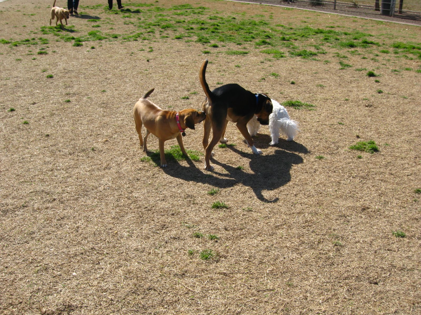 [IMG_3633.JPG]