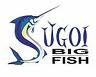 Sugoi Big Fish
