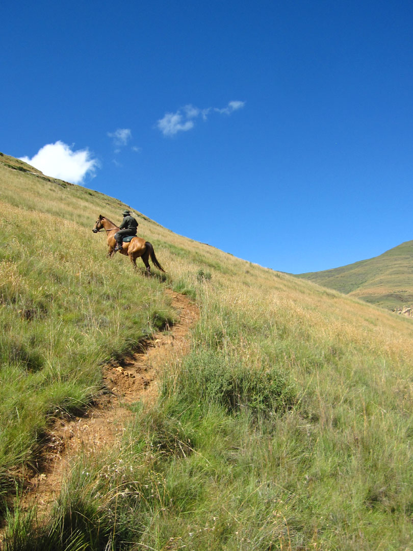 66 Square Feet (Plus) Golden Gate and Glen Reenen rest camp