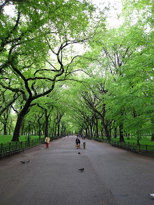 Nearing Central Park South, central park. Nearing Central Park South,