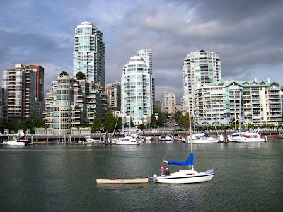 Amsterdam Island Duck