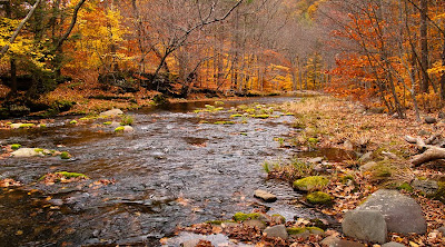 66 Square Feet (Plus) Catskills in Fall