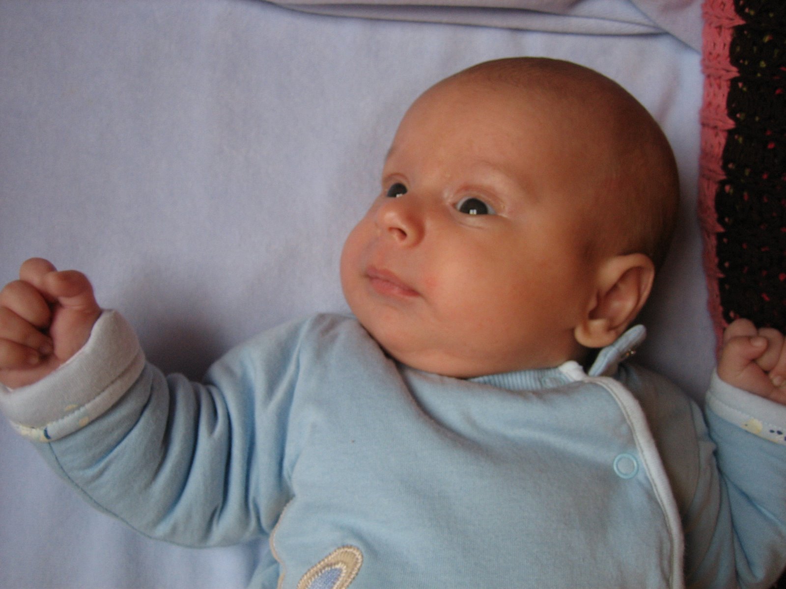 [IMG_6294.JPG]