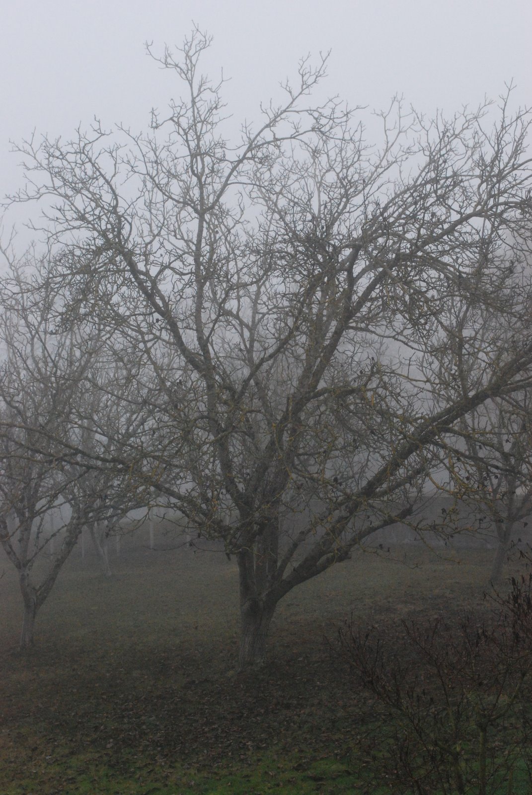 [DSC_0280.JPG]