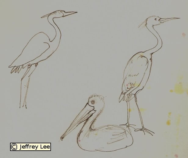 [storkpelican.jpg]
