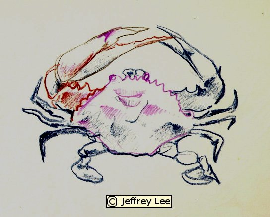 [crabbe.jpg]