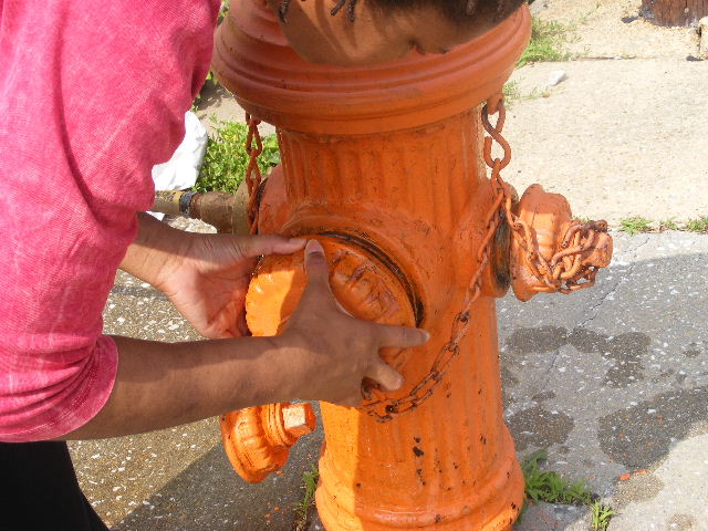 [DSCF0234.JPG]