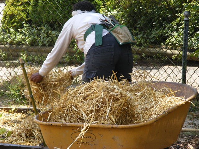 [DSCF0060.JPG]