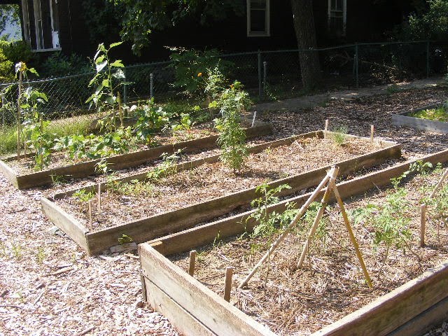 [DSCF0159.JPG]
