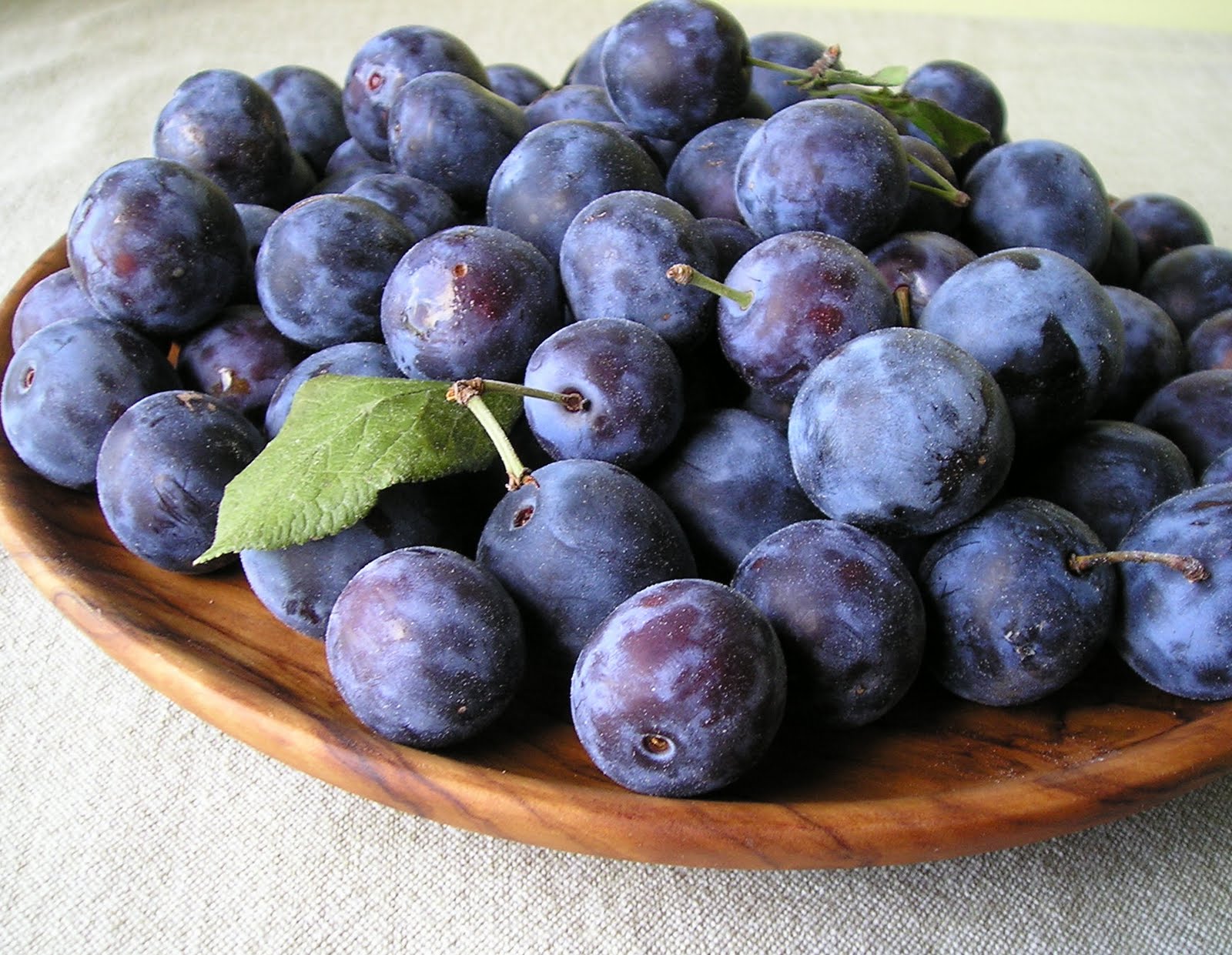 [0910DamsonPlum.JPG]