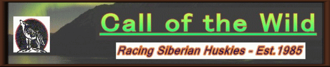 Stories and Tails of Racing and Training our Team