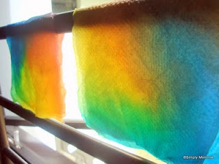 mister seahorse activities