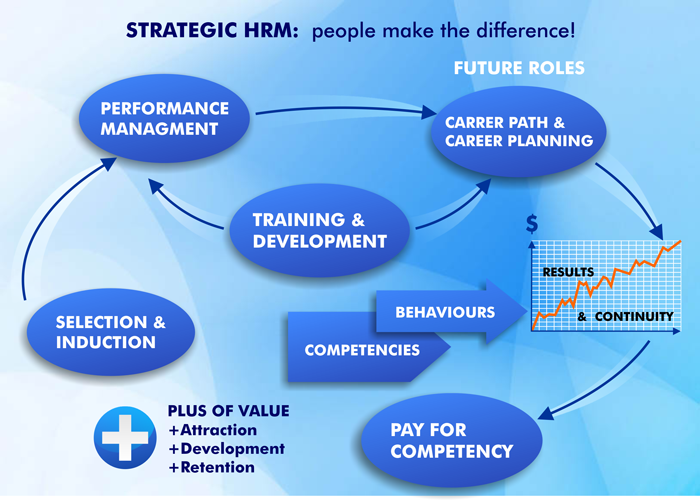 hr professionals role in organizational strategy hr professionals role in organizational strategy