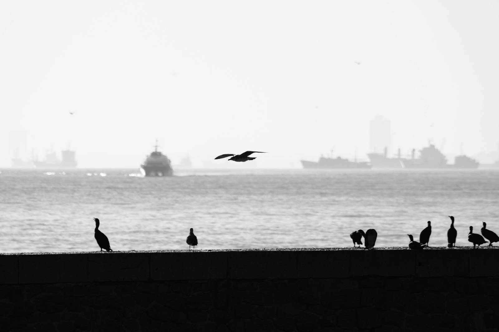 [IMG_3379.jpg]
