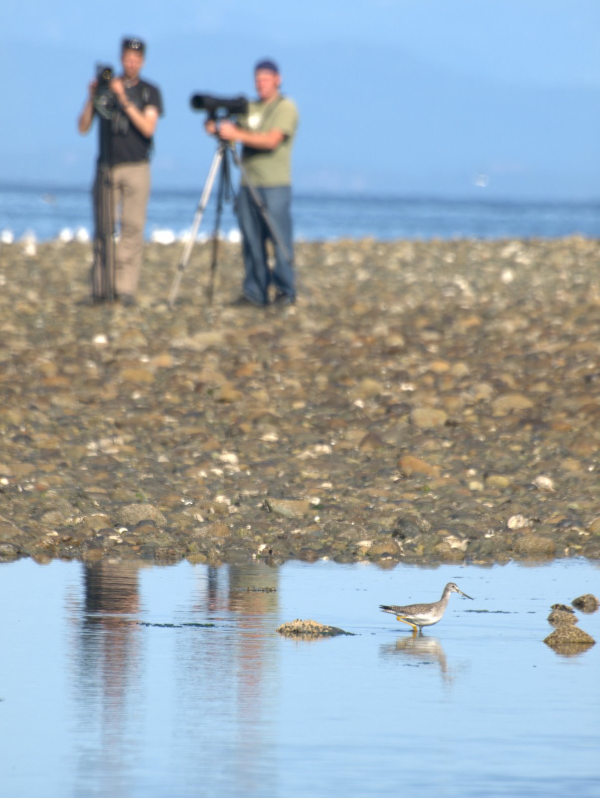 [fremkaldtVancouverIsland20080915_153.jpg]