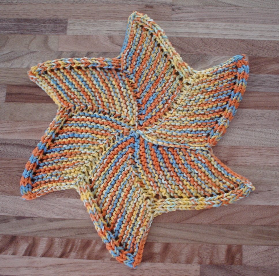 [starfish+cloth.JPG]