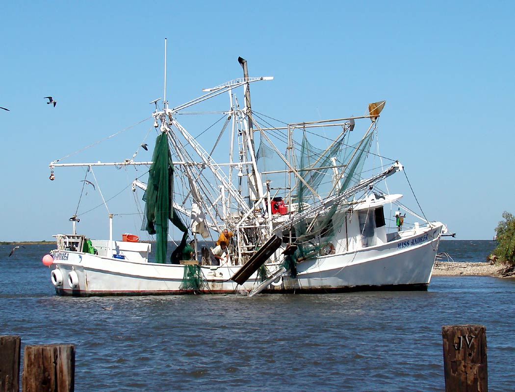 shrimp boat pics shrimpboat related keywords shrimpboat long tail shrimp boat pics shrimpboat related keywords shrimpboat long tail