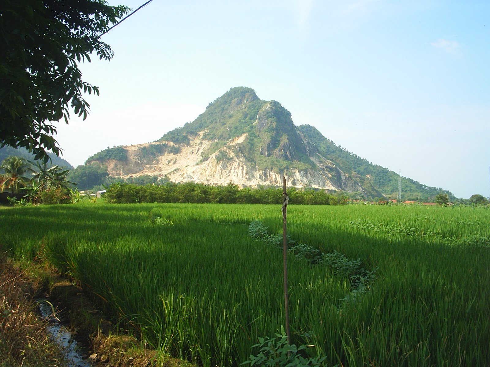 http://4.bp.blogspot.com/_PafU38UHks8/S-4LmczakHI/AAAAAAAAAAM/FbimPkbeEIc/s1600/pemandangan%201.jpg