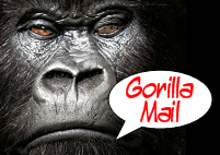 Contact Gorilla Media: