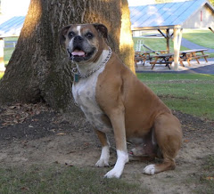 Rosco P. Coletrain