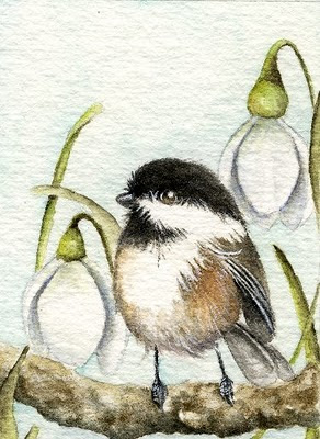 watercolour chickadee painting