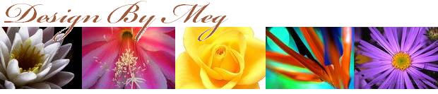 Design By Meg