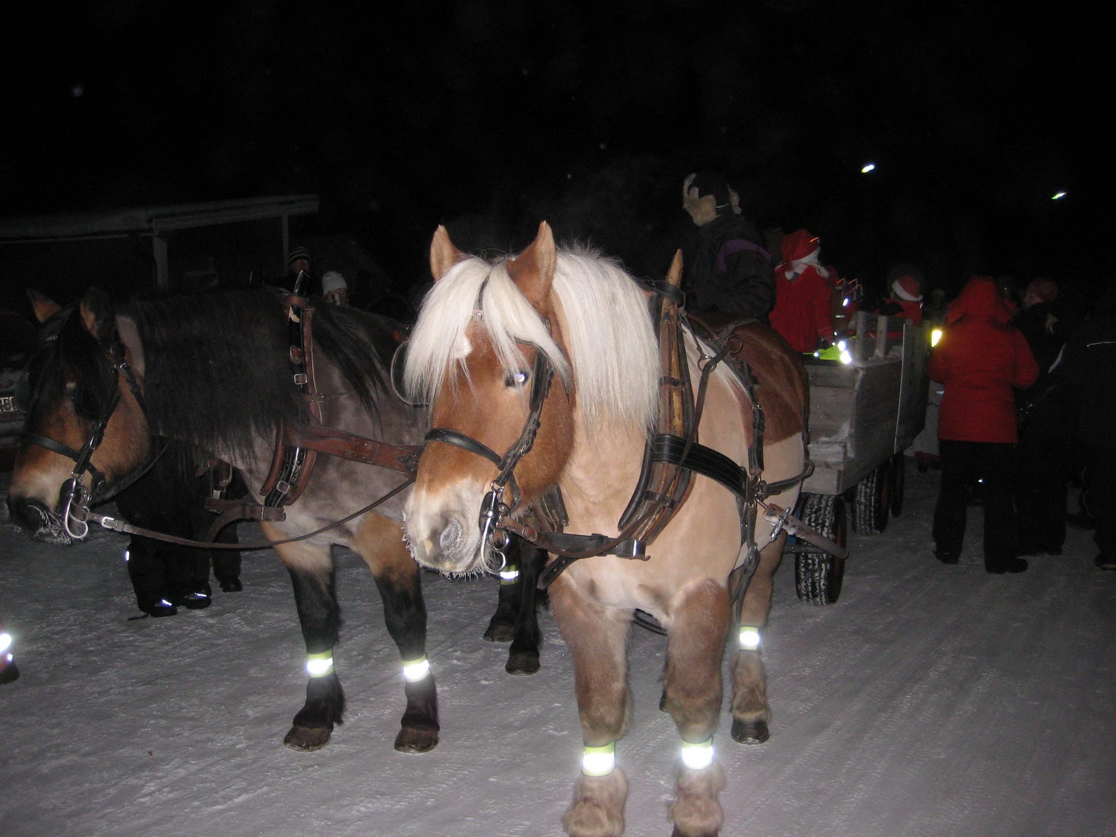 Fagottens förskola: december 2010