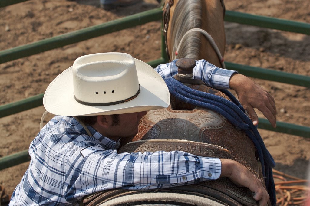 [rodeo+cowboy.jpg]