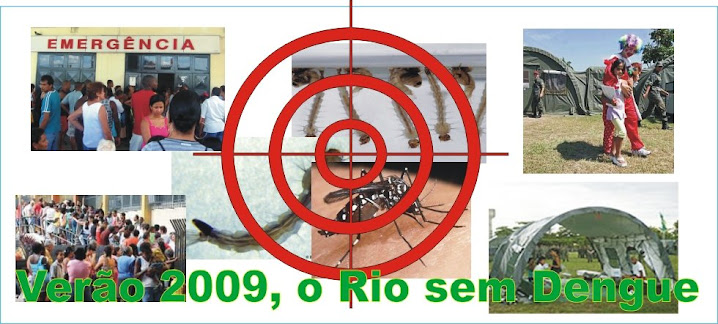 Verão 2009, Rio sem Dengue