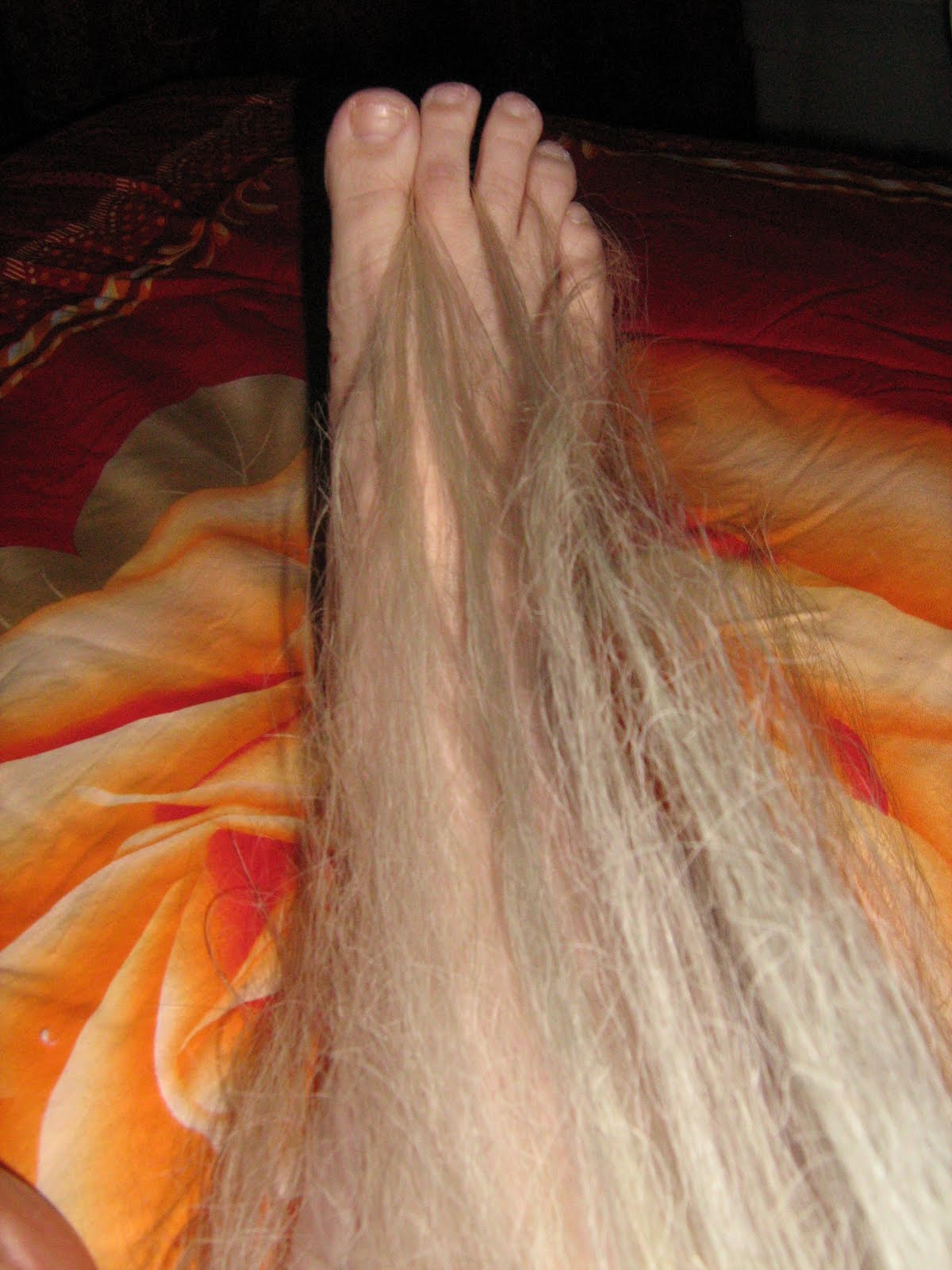 DOREEN DOTAN'S ARCHIVE