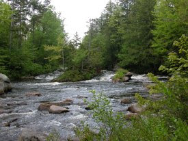 Oswagotchie River photo courtesy of NYS DEC