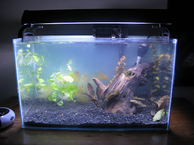 aquarium russell journals