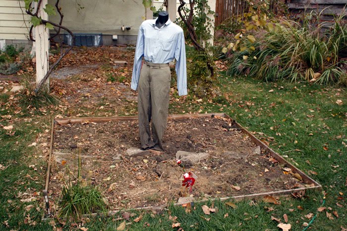 Lonely scarecrow