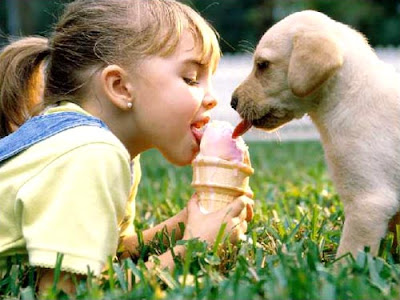Puppy Babies