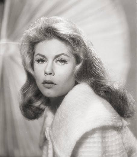 Darian Darling: A Guide To Life...