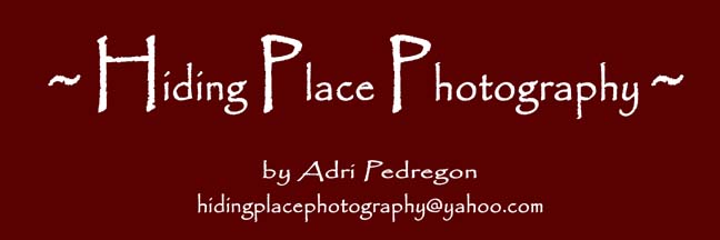 Hiding Place Photography