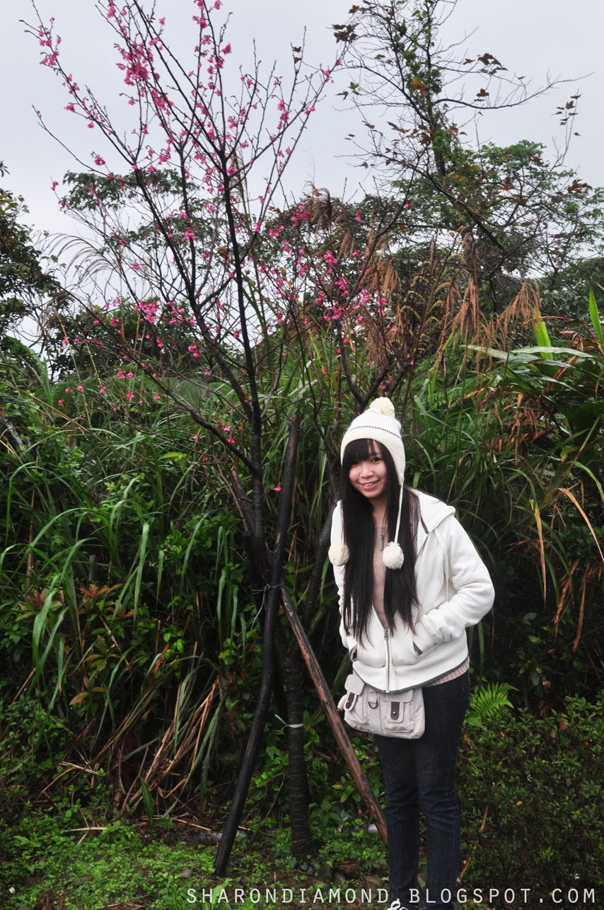 [DSC_0038.JPG]