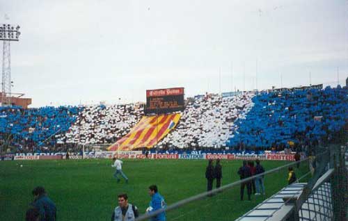 [bbbb29.jpg]