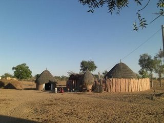 [bisn2-795285.JPG]