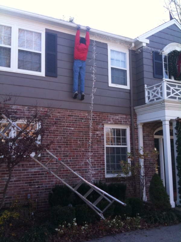 [Christmas+display.jpg]