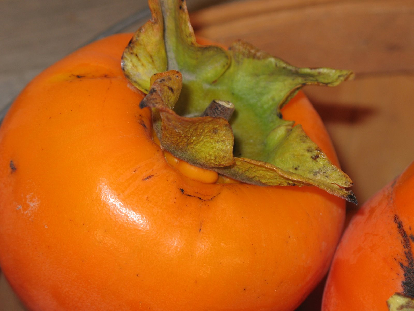 [persimmon+large+and+close+11-06.jpg]