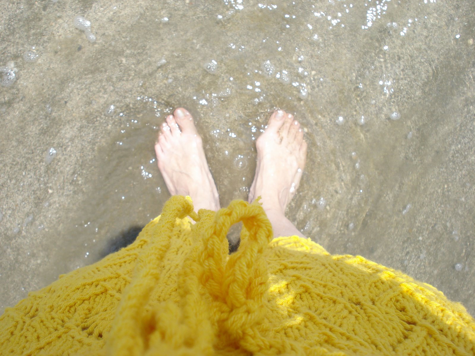 [DSC00979.JPG]