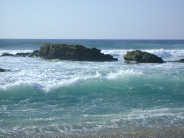 [DSC00536.JPG]