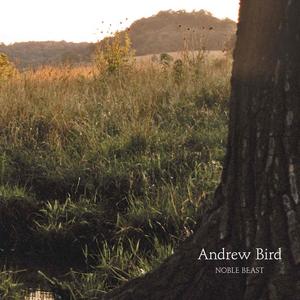 [Andrew+Bird.jpg]