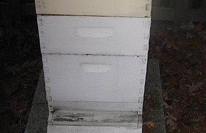 [Wax+2008+001.jpg]